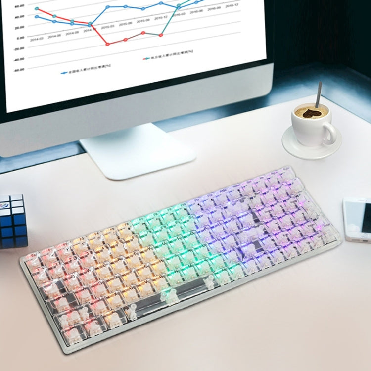 100 Keys Customized Gaming Wired Mechanical Keyboard Transparent Keycap