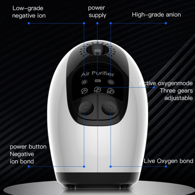 Negative Ion & Ozone Dual Mode Air Purifier Disinfection Machine To Remove Formaldehyde Bacteria — view 4