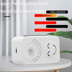 Small Horn Voice Announcement Sensor Entrance Voice Broadcaster Can Used As Doorbell