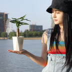Diamond-shaped Automatic Water-absorbing Lazy Flower Pot Green Plant Plastic Pot — view 8