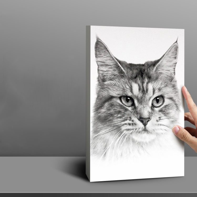 Deli 73940 Blank Sketch Paper for Painting Drawing Tool — 20sheets/pack 8K 180g