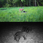 2.7K Outdoor Tracking Camera Infrared Night Vision Monitoring Hunting Camera