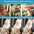 H982 4K Infrared Waterproof Induction Night Vision Monitor Animal HD Outdoor Cameras