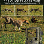 H5812 4K HD Outdoor Night Vision Monitor Animal Infrared Induction Hunting Camera