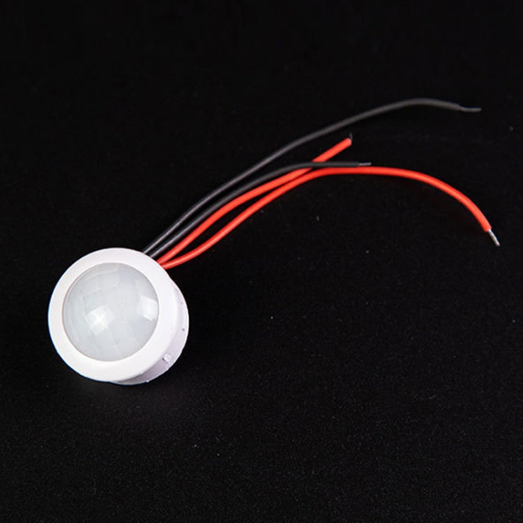 Infrared Human Body Sensor Switch Module Ceiling Downlight — AC110-240V Long Line