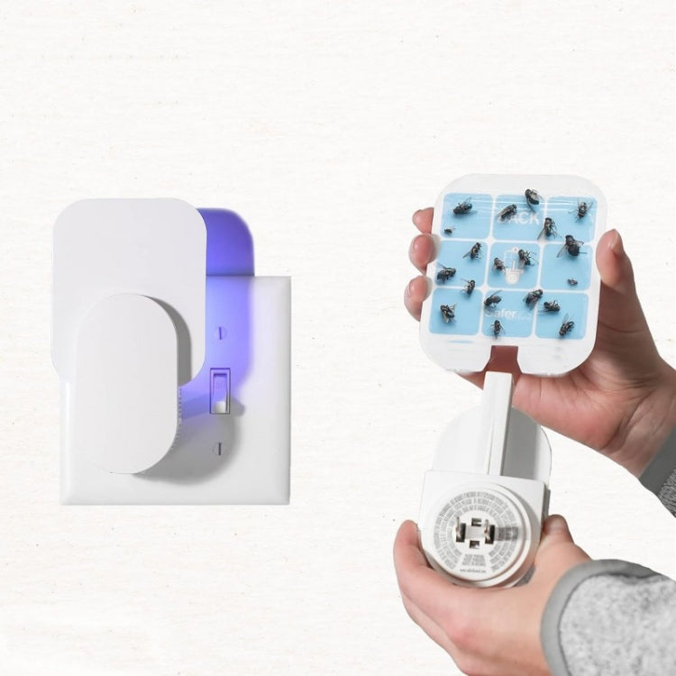 Plug-In Refillable Fly Trap For Flies, Moths, Gnats, And Other Flying Insects With 2 Glue Cards — EU Plug