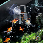 Acrylic Transparent Feeding Ring Fish Tank Feeder Floating Fixed Fish Feeder — view 7