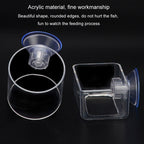 Acrylic Transparent Feeding Ring Fish Tank Feeder Floating Fixed Fish Feeder — view 8