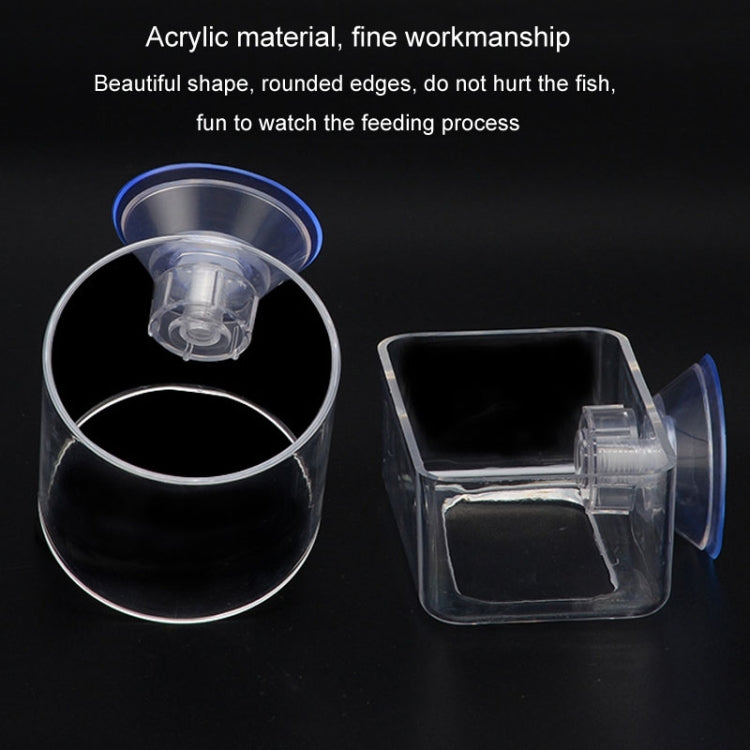 Acrylic Transparent Feeding Ring Fish Tank Feeder Floating Fixed Fish Feeder — view 8