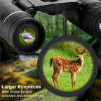 Outdoor Low-light Night Vision High-power HD Mini Binoculars
