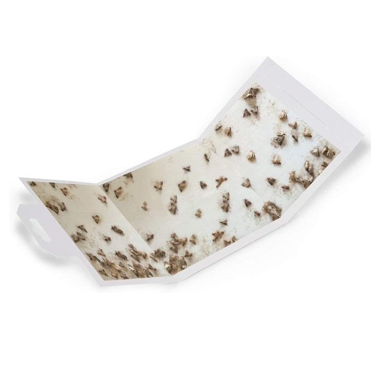 Moth Catcher Insect Trap Sticker — MYQ-C-002
