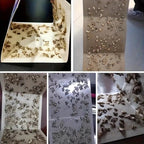 Moth Catcher Insect Trap Sticker — view 6
