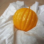 Outdoor Fruit Fly Mosquito Citrus Trap Sticky Ball — view 4