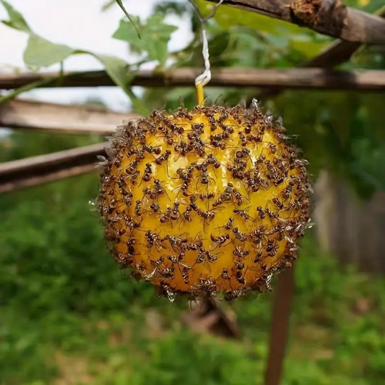 Outdoor Fruit Fly Mosquito Citrus Trap Sticky Ball — view 5