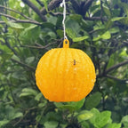 Outdoor Fruit Fly Mosquito Citrus Trap Sticky Ball — view 6