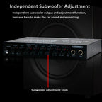EQ-819 Car Audio Equalizer EQ Tuning Crossover Amplifier Supports Dual Microphone Input Reverberation Adjustment