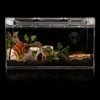 Aquarium Birch Shape Hiding House Reptiles Lizards Aquascape — view 7