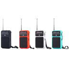 W-209 Mini Portable Rechargeable / Battery Dual-mode Powered Pointer FM Radio with Flashlight