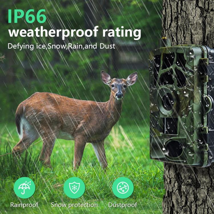 HD Field Camera IR Hunting Camera