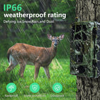 HD Field Camera IR Hunting Camera