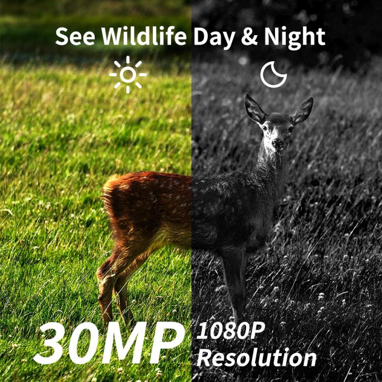 HD Field Camera IR Hunting Camera