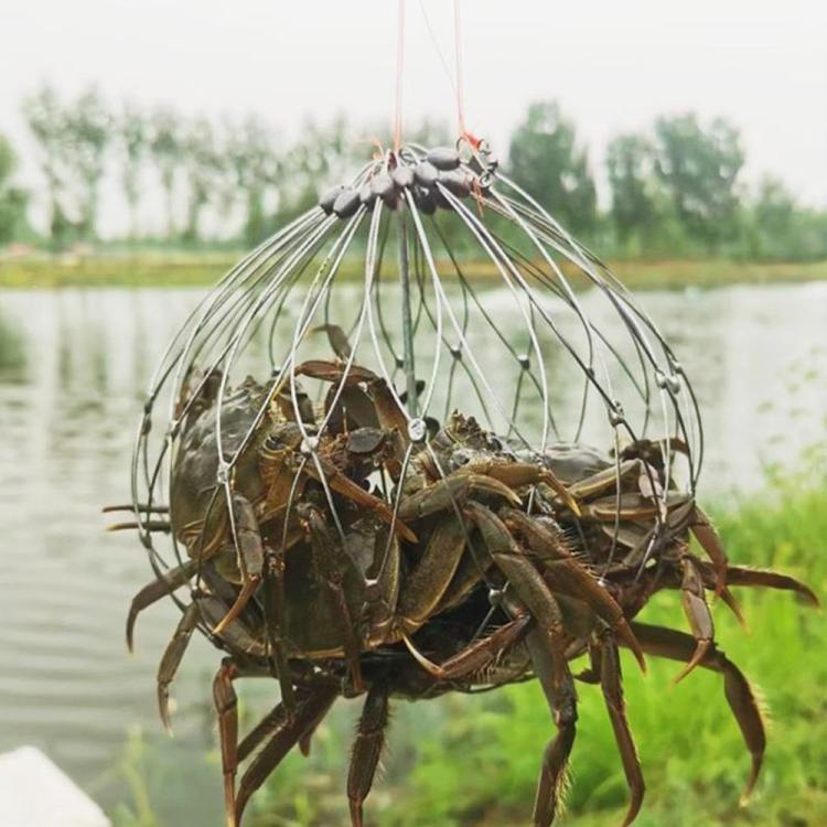 Automatically Retractable Crab Cage Wire Crab Opening And Closing Cage