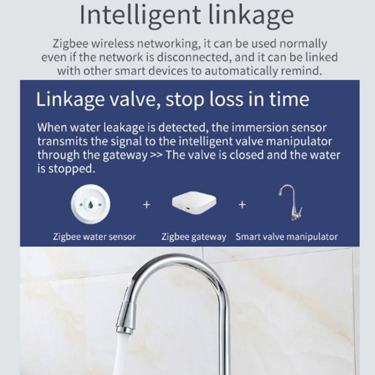 Liquid error (snippets/product-media-gallery-content line 614): Could not find asset snippets/product-media-alt.liquid