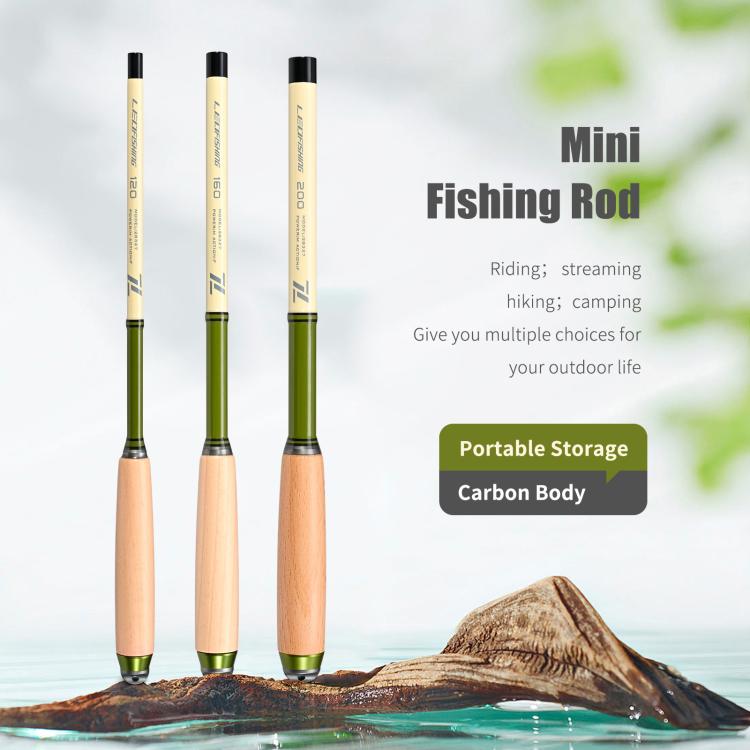 Wooden Handle Mini Tiny Object Rod Pocket Portable Small Fishing Rod