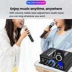 Car Home Stereo Mini Amplifier