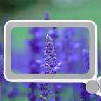 3.5X 12LED Folding Magnifying Glass Handheld Reading Glass With Charge Display — view 7