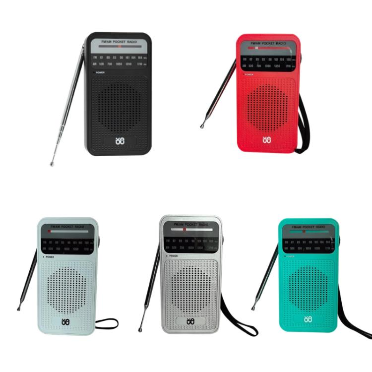 Portable Pointer AM/FM Full Channel Radio