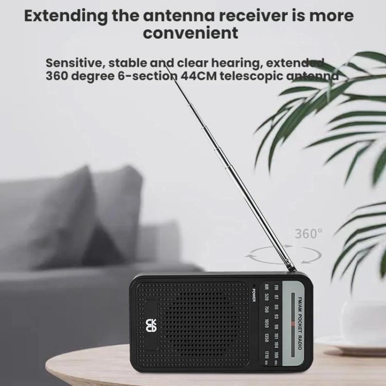 Portable Pointer AM/FM Full Channel Radio