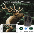4K 120MP Infrared Hunting Camera Support APP Remote Mobile Viewing Photos / Videos