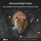 4K 120MP Infrared Hunting Camera Support APP Remote Mobile Viewing Photos / Videos