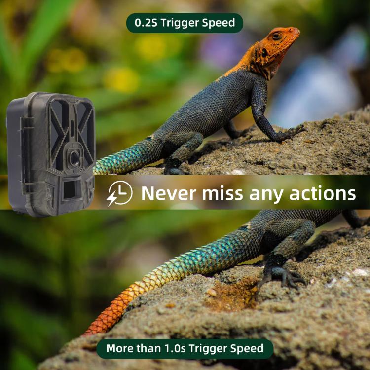 4K 120MP Infrared Hunting Camera Support APP Remote Mobile Viewing Photos / Videos