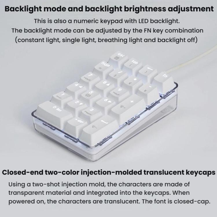Little Kangaroo DS-9817 Backlit Non-Switching Wired Numeric Keypad Financial Business Banking Keyboard