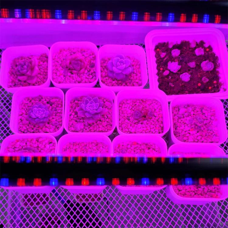 Clip-On Plant Grow Light Full Spectrum Plant Lights With Remote Control — view 10