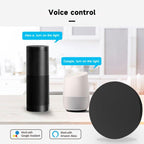 Tuya Wifi Smart Home Universal Remote Control, Support Voice Control/Mobile Phone Remote Operation