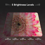 APEXEL HB100 Ultra Macro Lens & FL26 Fill Light Combo for Smartphones Close-Up Photography Kit