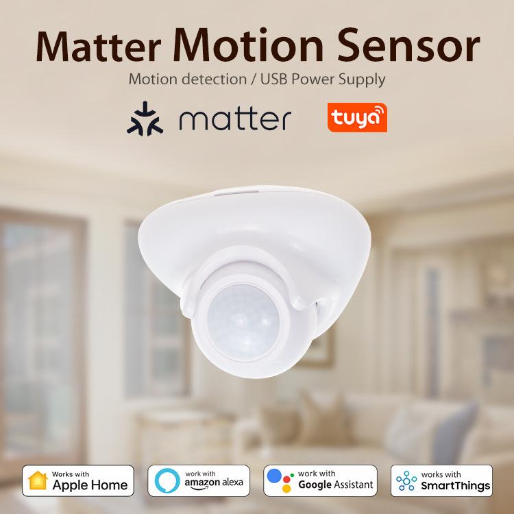 Matter Thread USB-C Power PIR Motion Sensor Smart Home System Compatible With Tuya App Remote Control