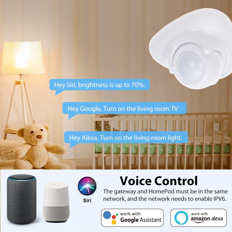 Matter Thread USB-C Power PIR Motion Sensor Smart Home System Compatible With Tuya App Remote Control