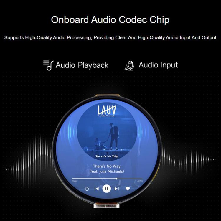 1.32 Inch AMOLED Round Touch Display Development Board