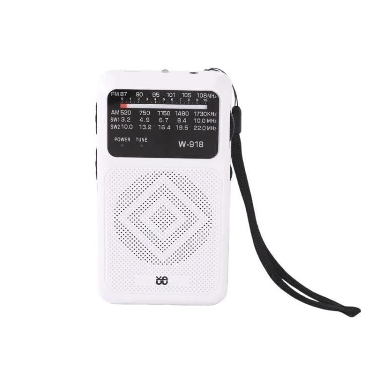 W-918 Pointer Dual-Power Radio FM/AM/SW Full-Band Radio — Black