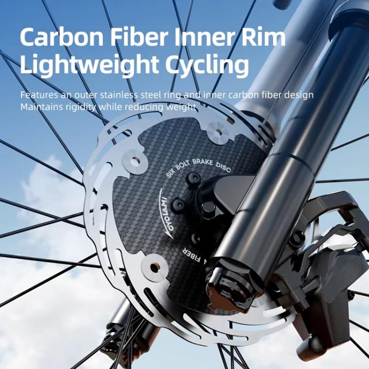 Fully Enclosed Bike Six-Hole Carbon Fiber Brake Disc