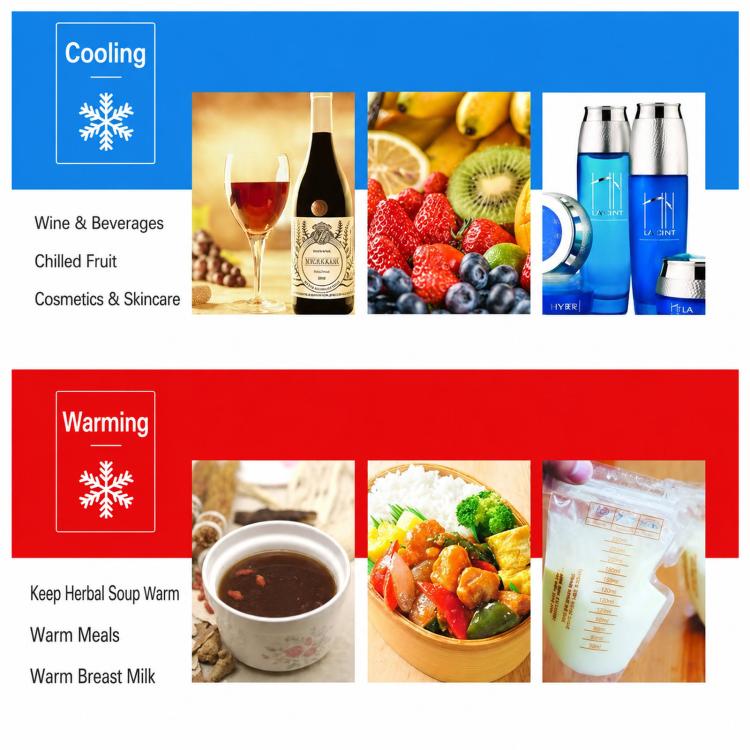 BLD-06A Portable Car Fridge Mini Heating & Cooling Box For Vehicle Use
