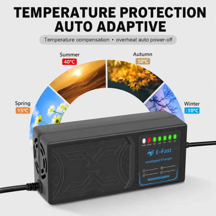 60V 20AH 7-LED Electric Vehicle Lithium Battery Charger
