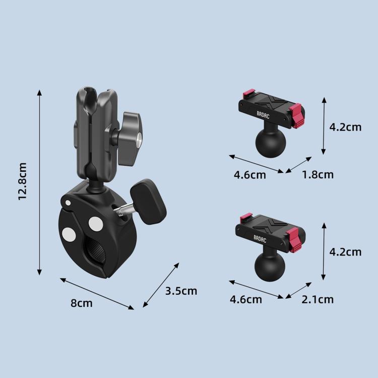 BRDRC Quick-Release Bicycle Mount