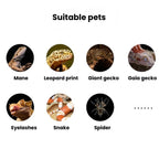 Gecko Reptile Hideout Turtle Basking Platform Landscape Bark — view 14