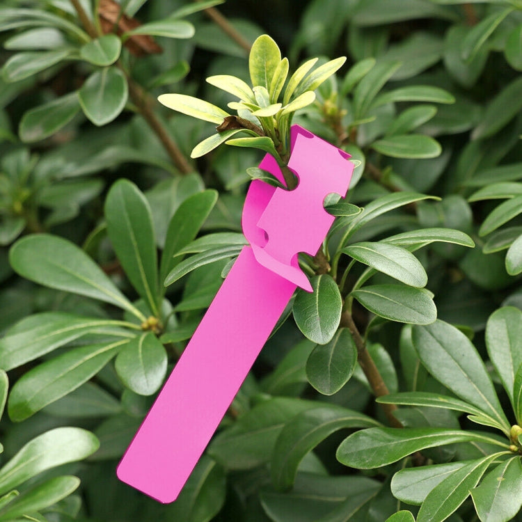 100 PCS Gardening Plant Sapling Seed Hanging Tree Label — White