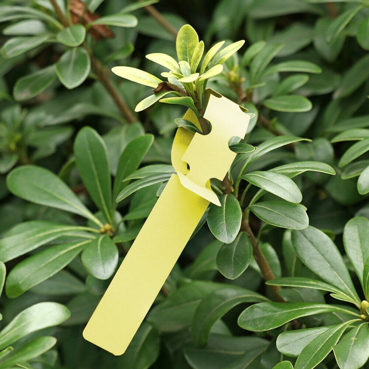 100 PCS Gardening Plant Sapling Seed Hanging Tree Label — Pink